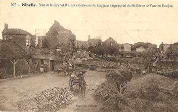 Ruines du chteau du Hallier