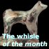 The whistle of the month